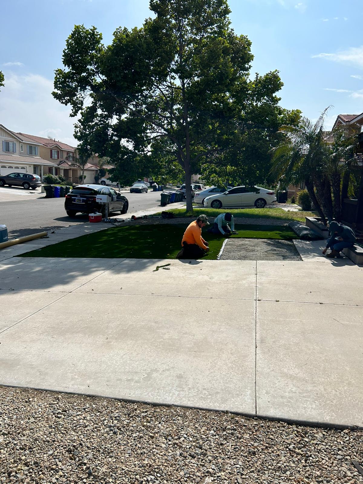 Marco Tree Service Image